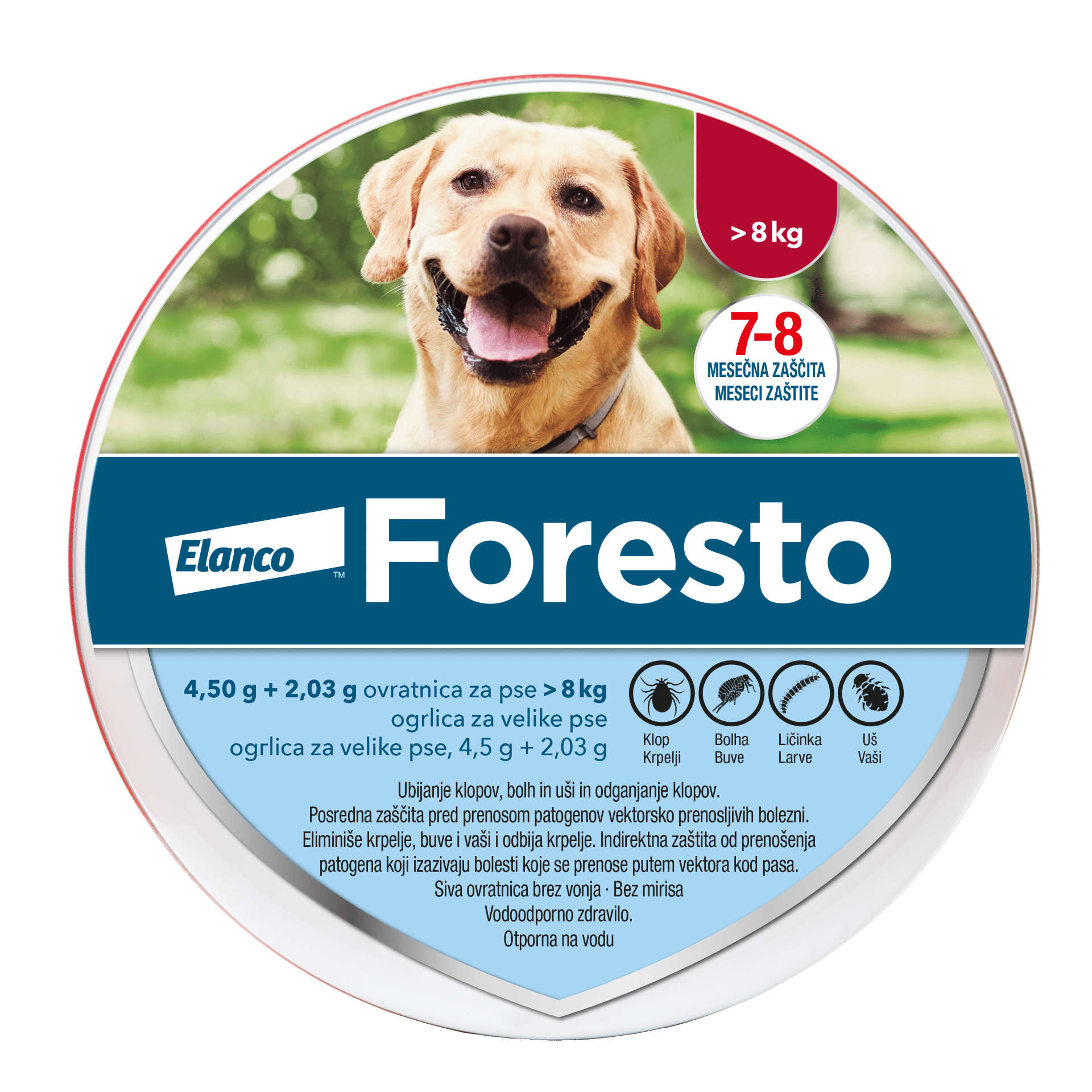 Foresto, insekticidna ovratnica za mačke in pse - nad 8 kg