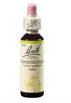 Bach kapljice št.16 - Honeysuckle