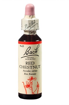 Bach kapljice št.25 - Red Chestnut