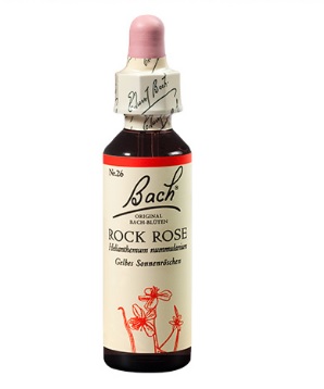 Bach kapljice št.26 - Rock Rose