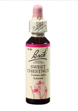 Bach kapljice št.30 - Sweet Chestnut